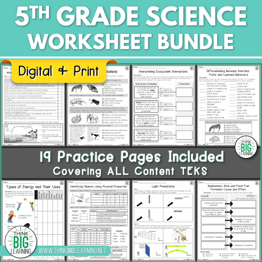 th Grade Science STAAR Review Worksheets Bundle - Digital and