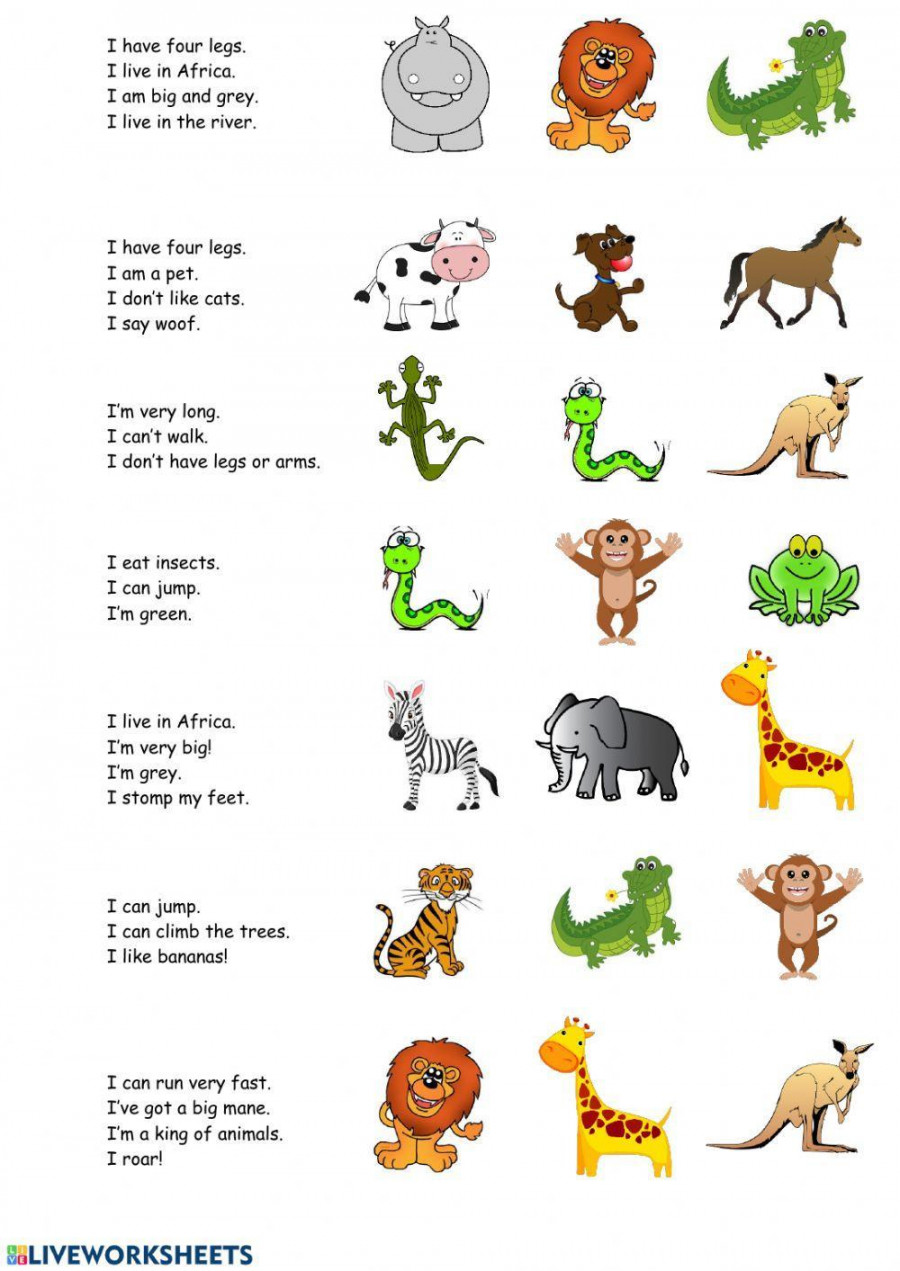 Animal riddles worksheet  Live Worksheets