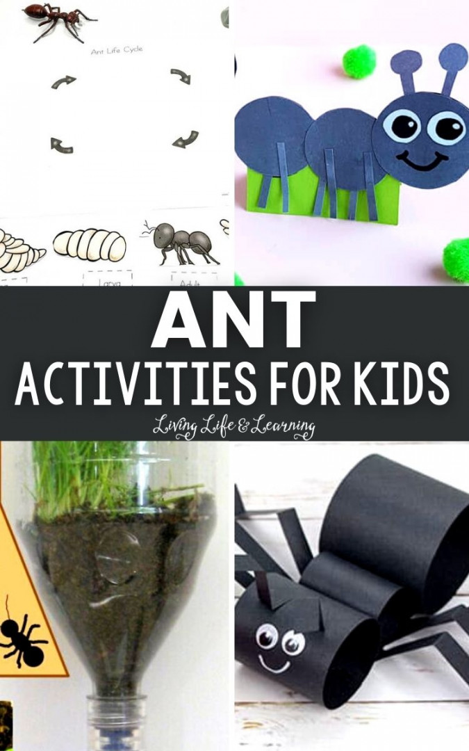 Ant Activities for Kids