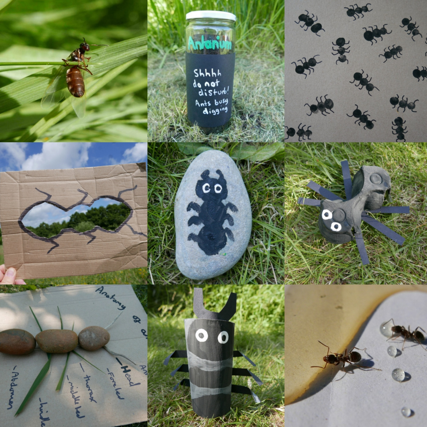 Ant activity ideas + fun facts – Childsplayabc ~ Nature is our