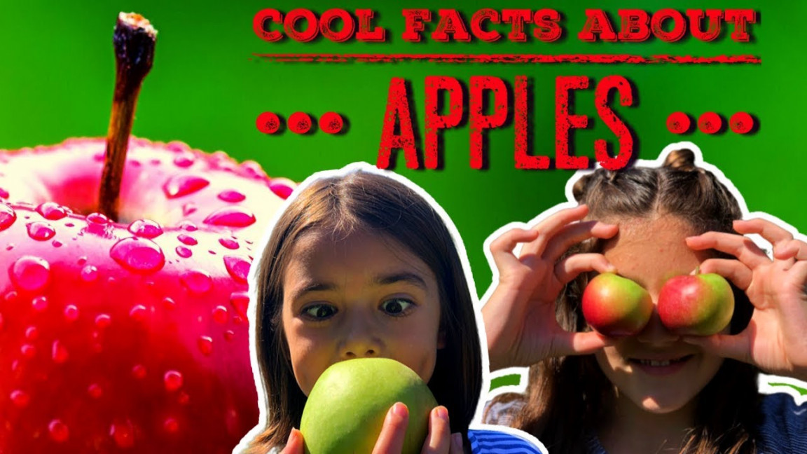 Apple Facts  Facts About Apples For Kids