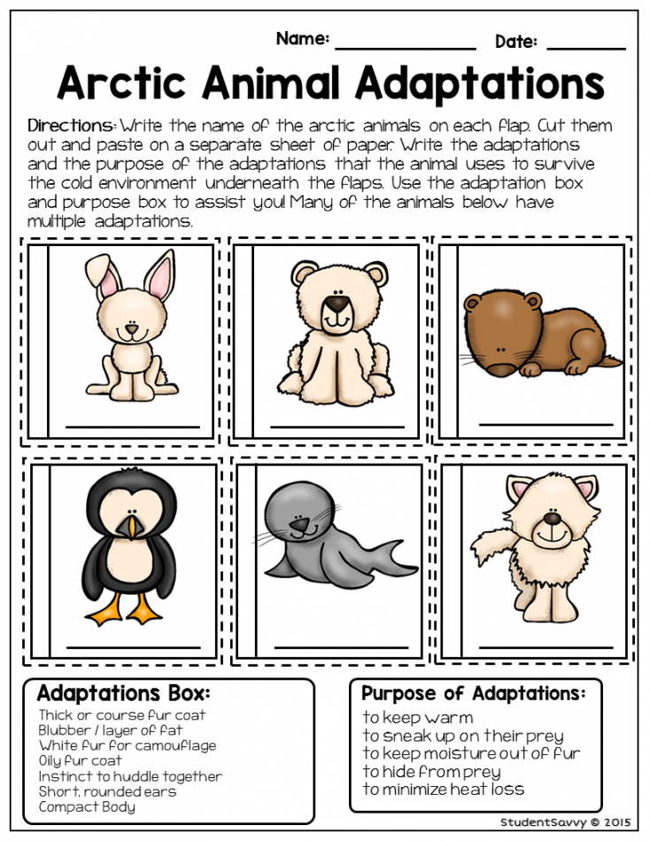 Arctic Animals - Free Resource Freebie Worksheet Printable Animal