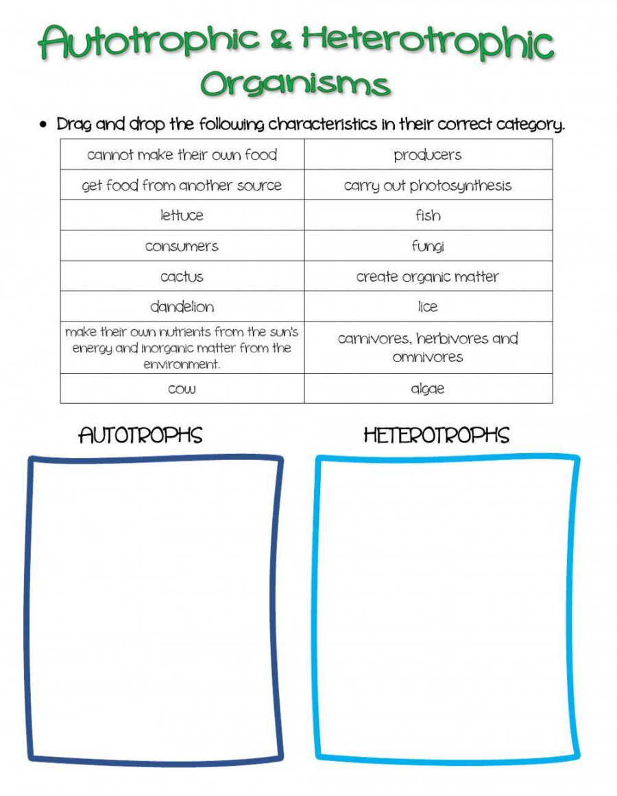 Autotrophs & Heterotrophs worksheet  Live Worksheets