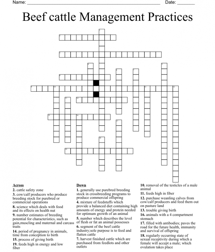 Beef Cattle Management Practices Worksheet