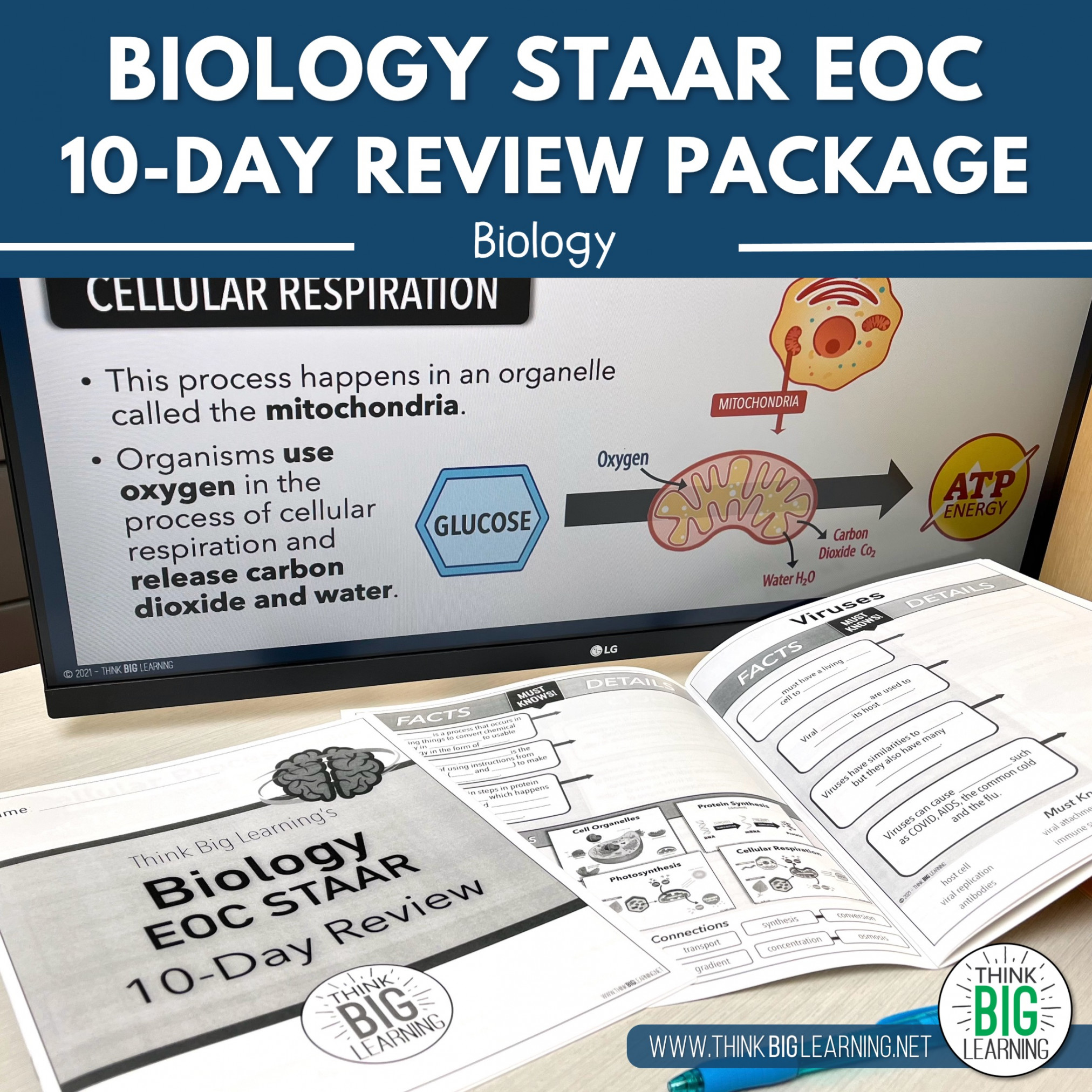 Biology EOC Targeted Review - Think Big Learning