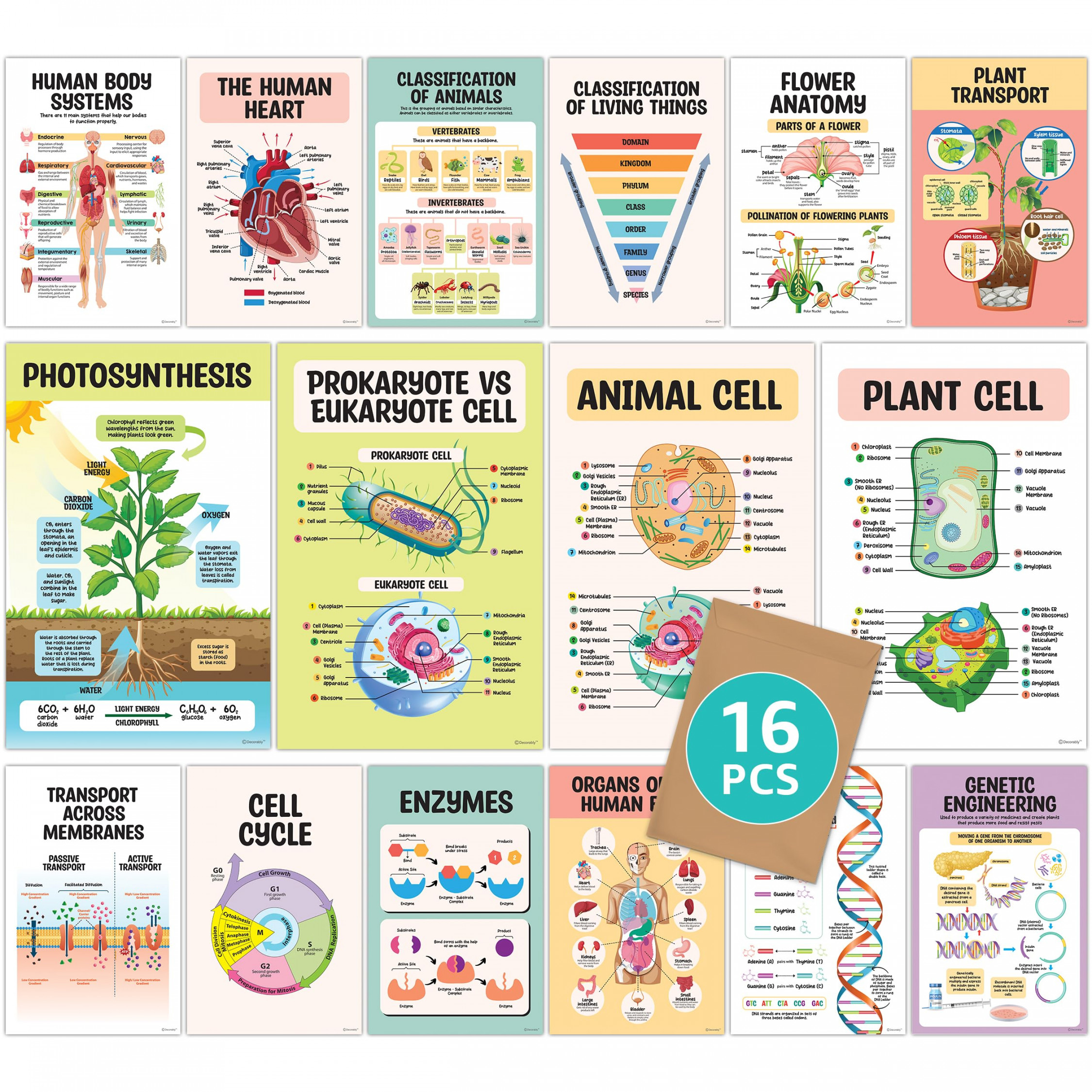 Biology Posters for High School Classroom - xin Life Science Posters  for Classroom Middle School, Biology Classroom Decor, Science Classroom