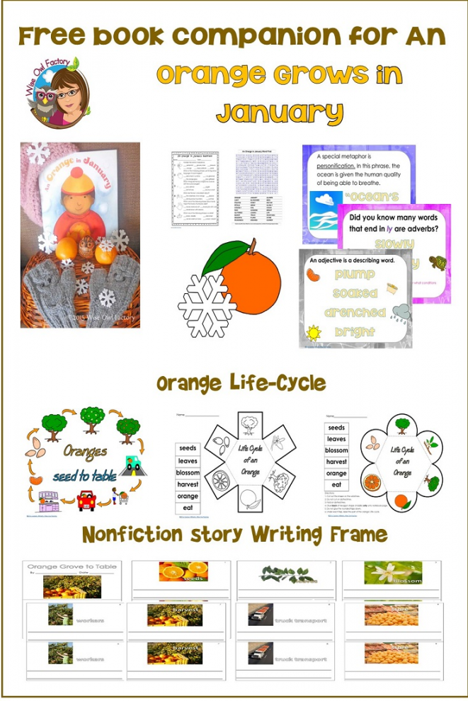 Book Companion for An Orange in January Free • Wise Owl Factory