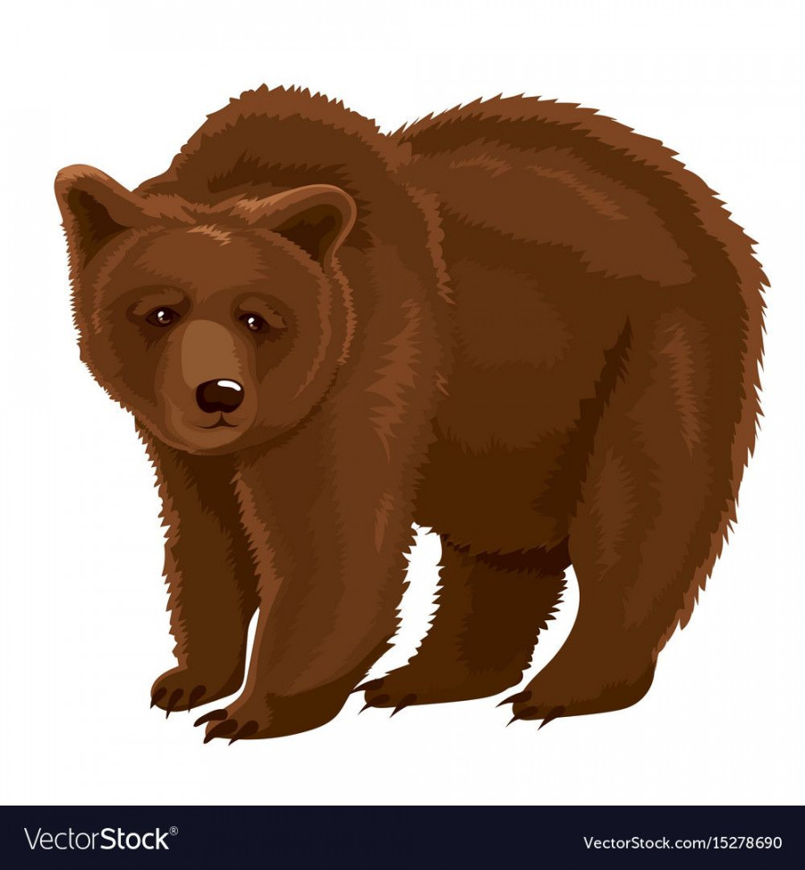 Brown bear Royalty Free Vector Image - VectorStock  North