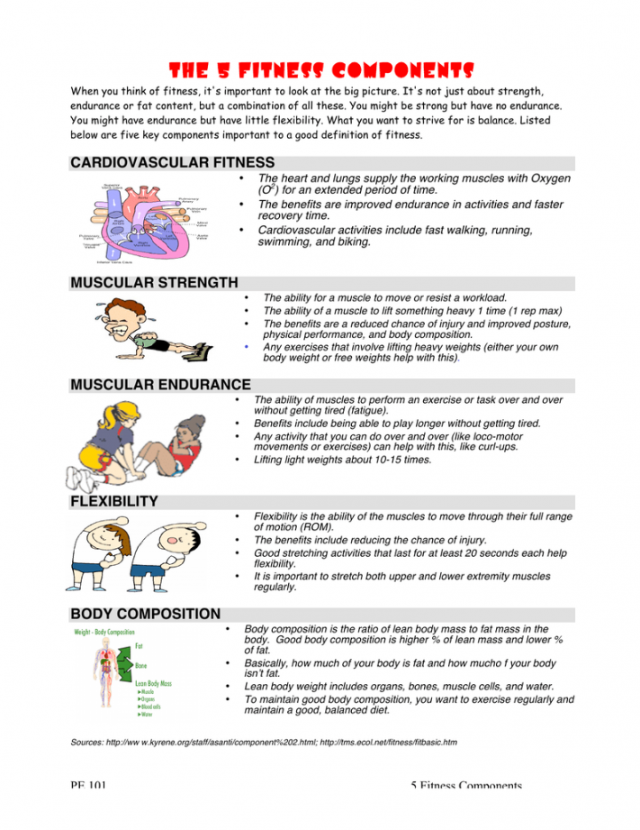 components of fitness worksheet - Google Search  Fitness