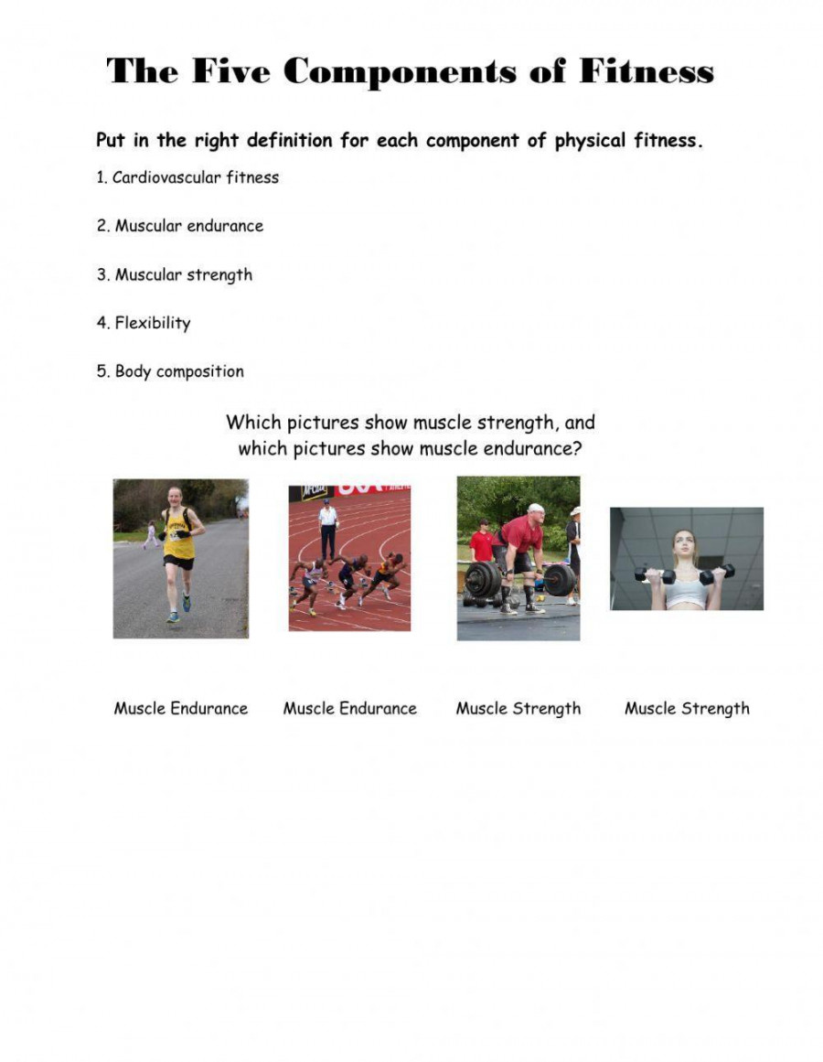 Components of Fitness worksheet  Live Worksheets