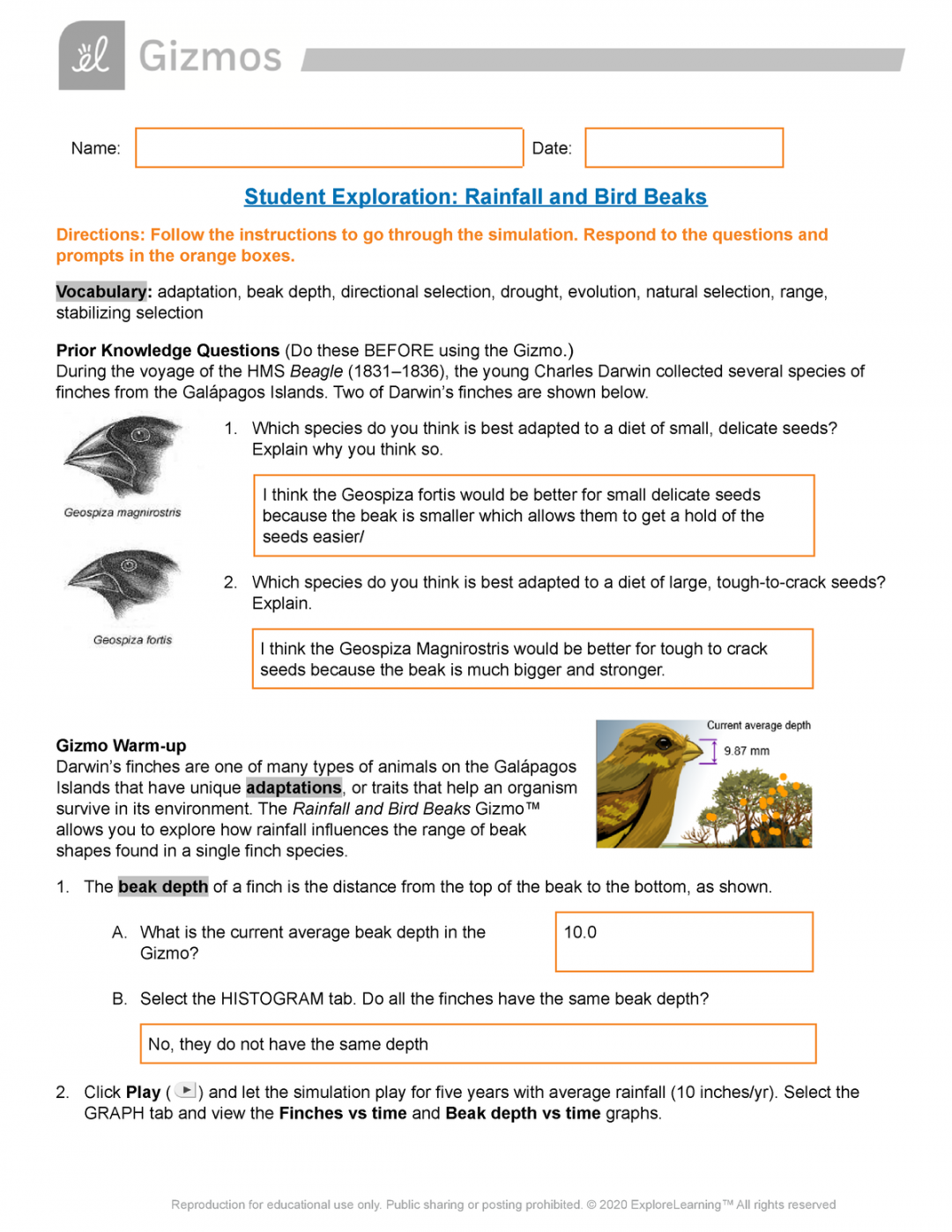 Copy of Rainfall and Bird Beaks SE - Name: Date: Student