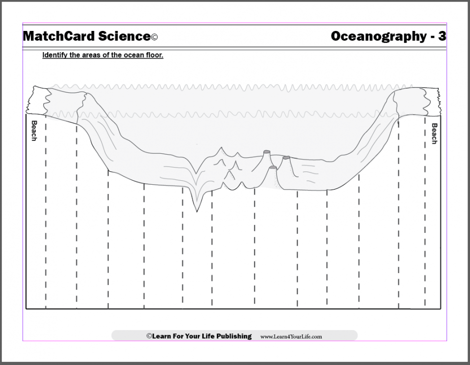 Diagram of the Ocean Floor