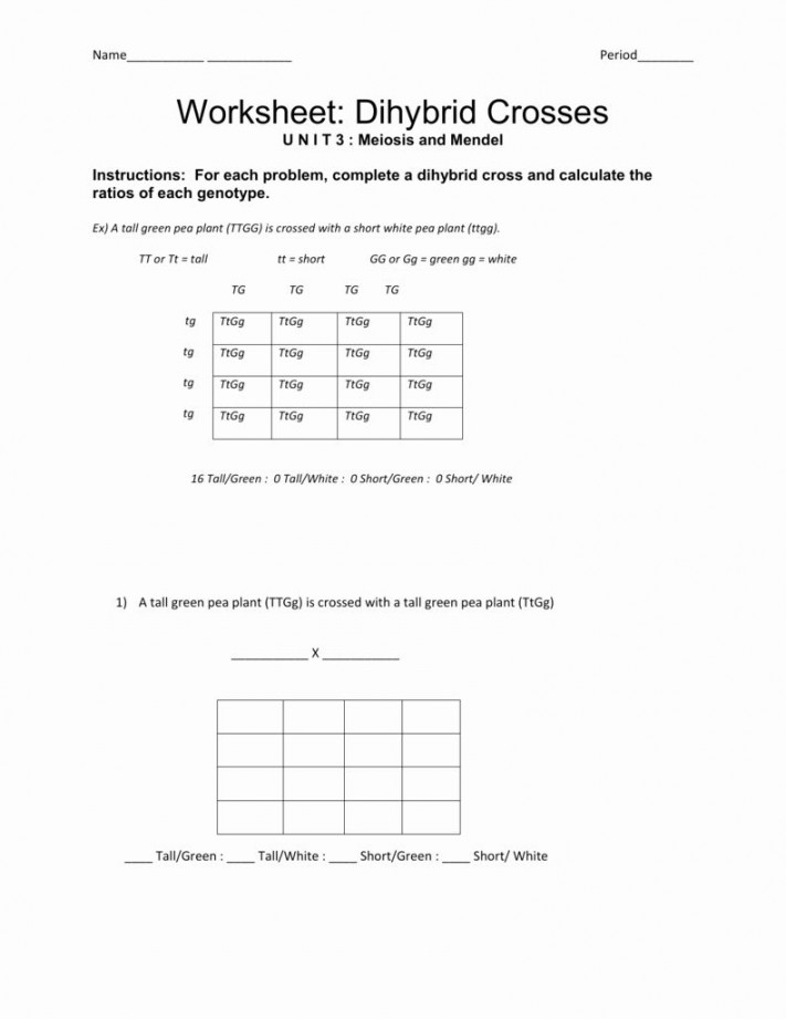 Dihybrid Cross Worksheet Answers Awesome  Best Of Dihybrid Cross