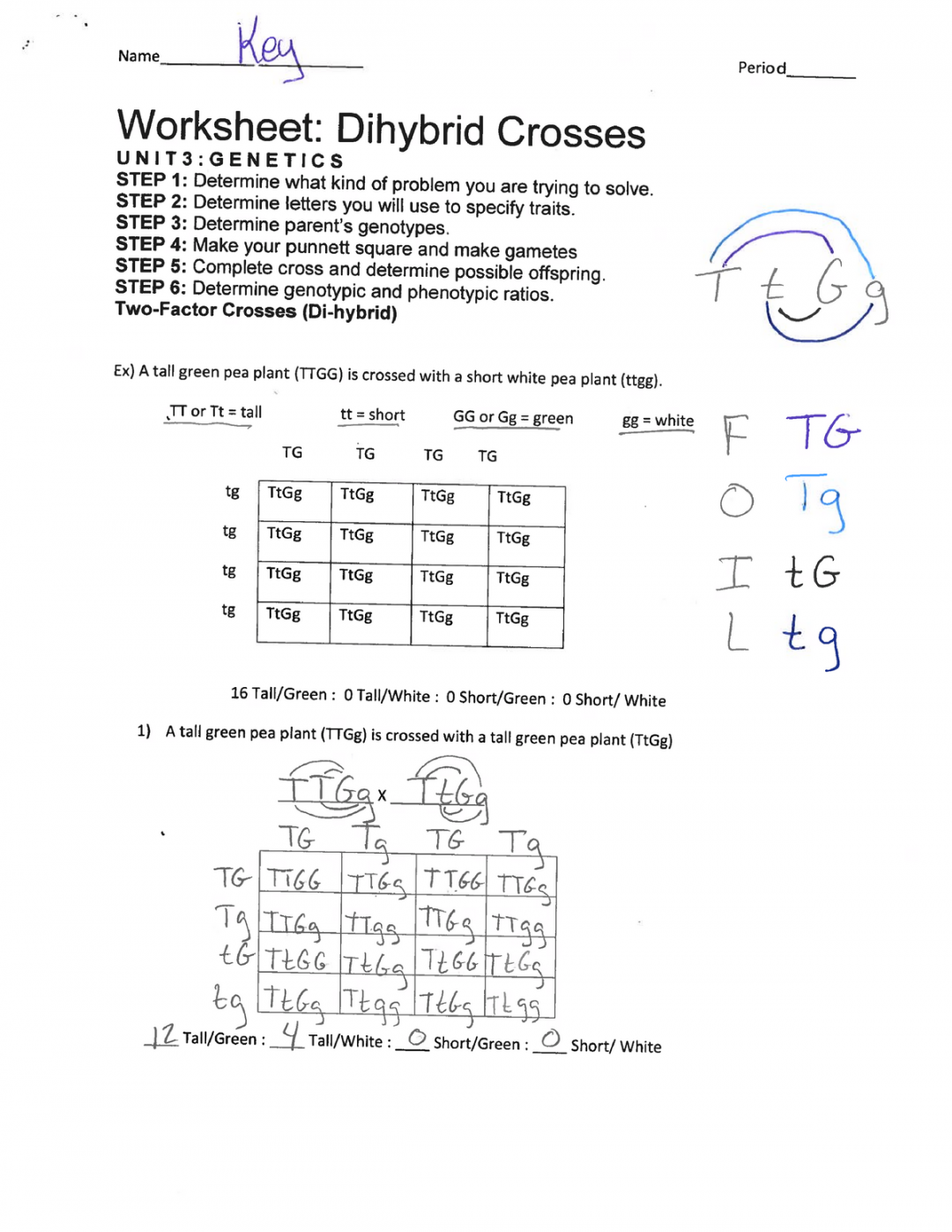 Dihybrid practice ws answer key - BIOC  - Studocu