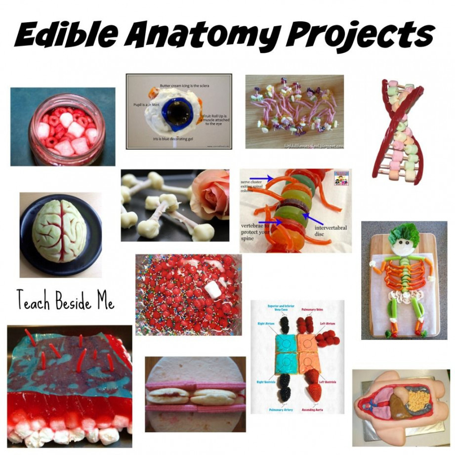 Edible Education Projects  Educational projects, Homeschool