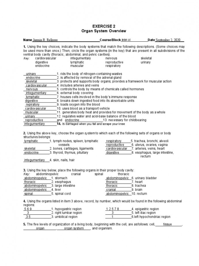 Exercise  Organ System Overview: BSN-C  PDF  Human Body