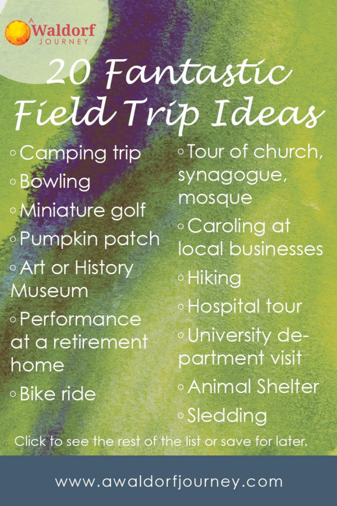 Fantastic Field Trip Ideas (and why you should take them) - A