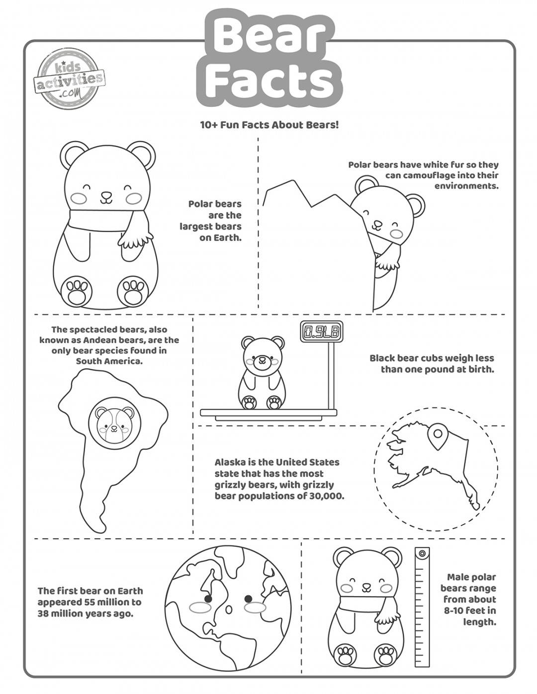 Fascinating Bear Facts For Kids Kids Activities Blog