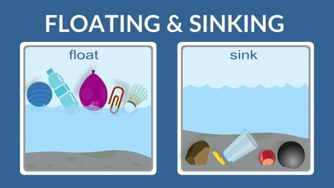 Float or Sink - Why do things float- Why do things sink- Lesson for kids