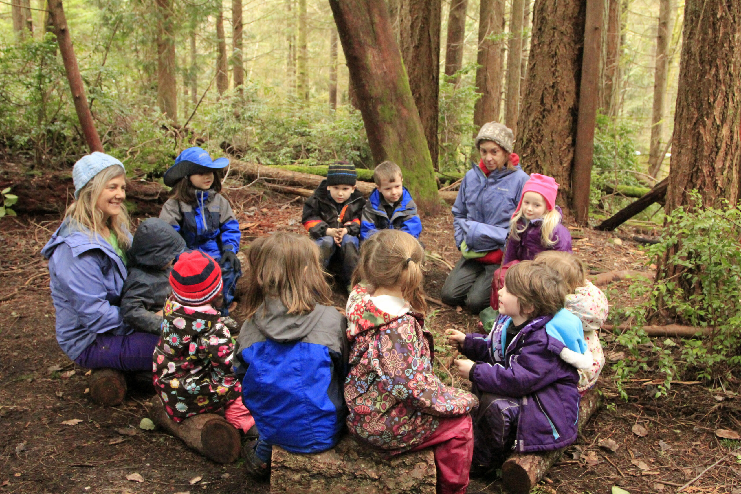 Flow Learning in a Forest Kindergarten  Natural Start