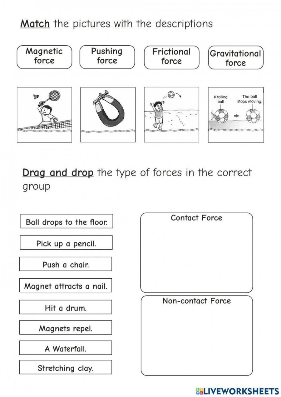 Forces and Motion  Live Worksheets