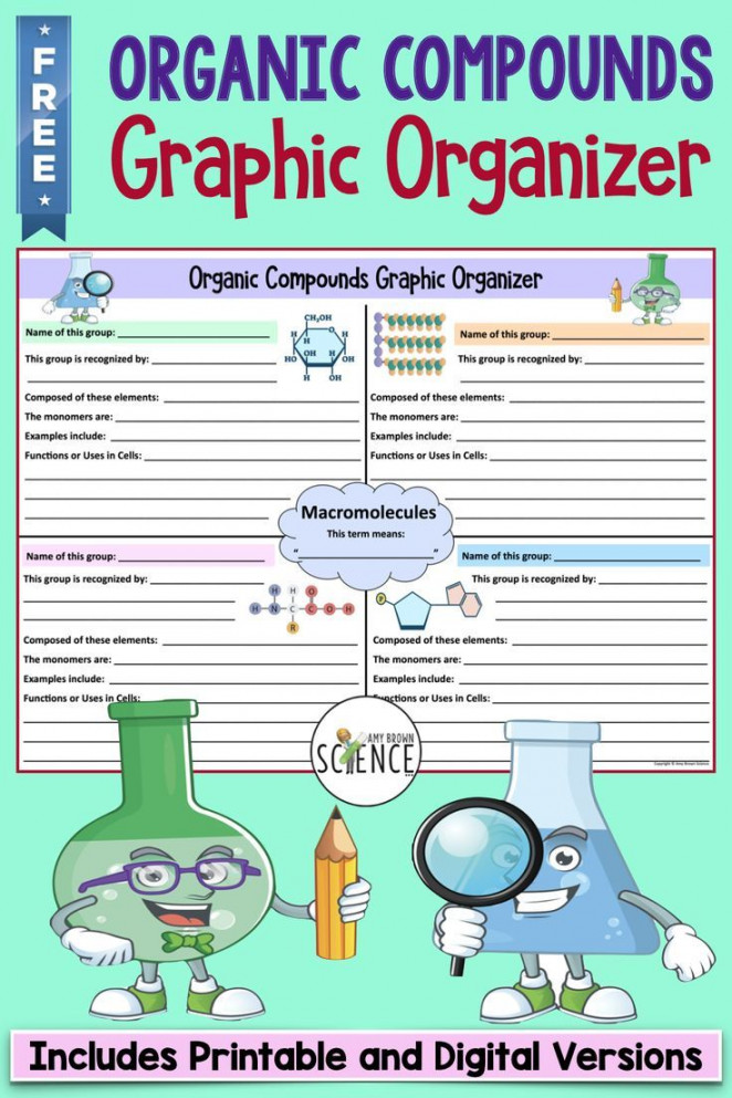 FREE Biochemistry Macromolecules Organic Compounds Graphic