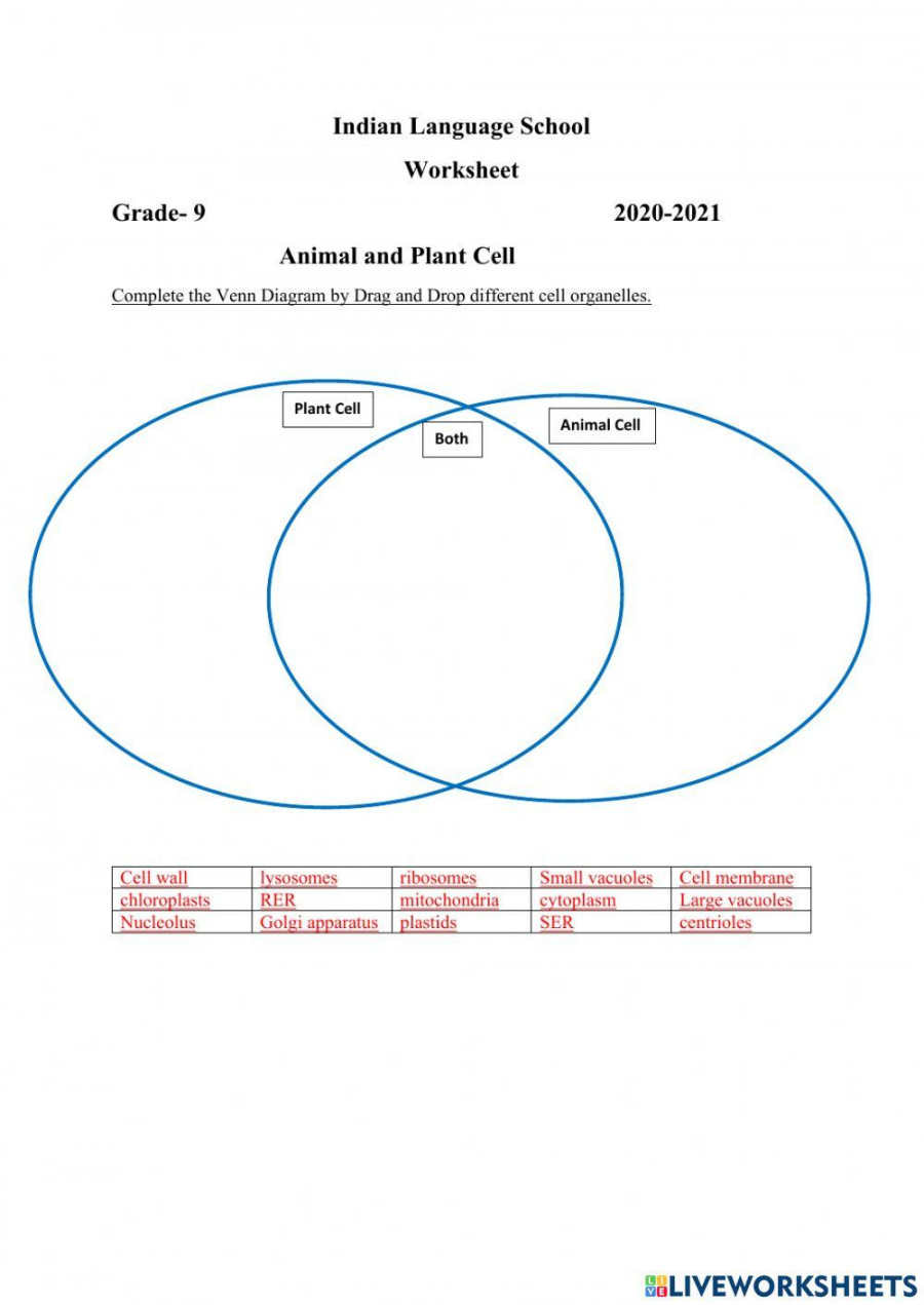 Grade  Biology worksheet  Live Worksheets