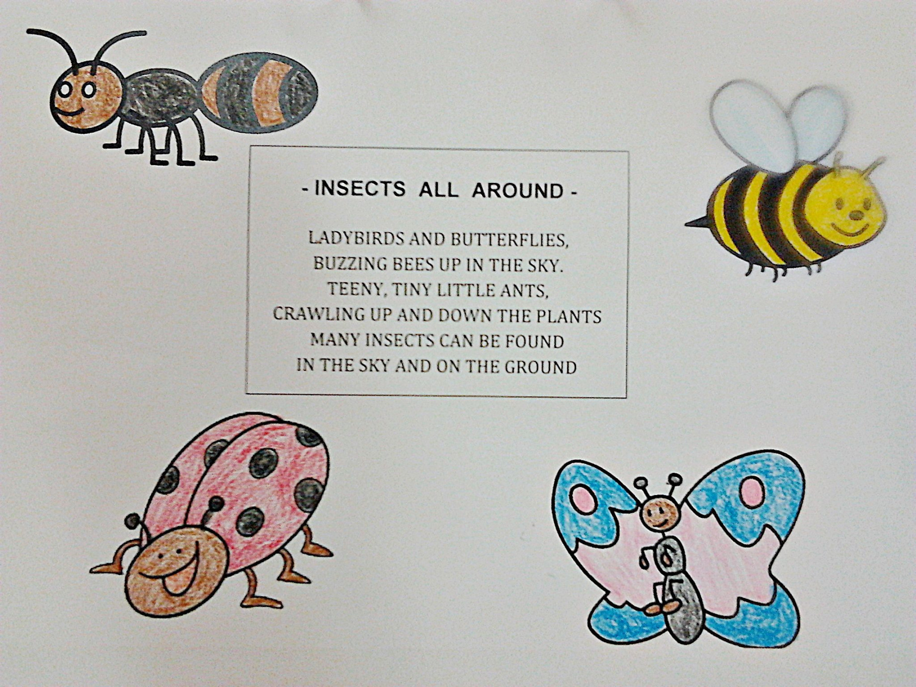 Insects All Around <<  Kindergarten poems, Insects preschool