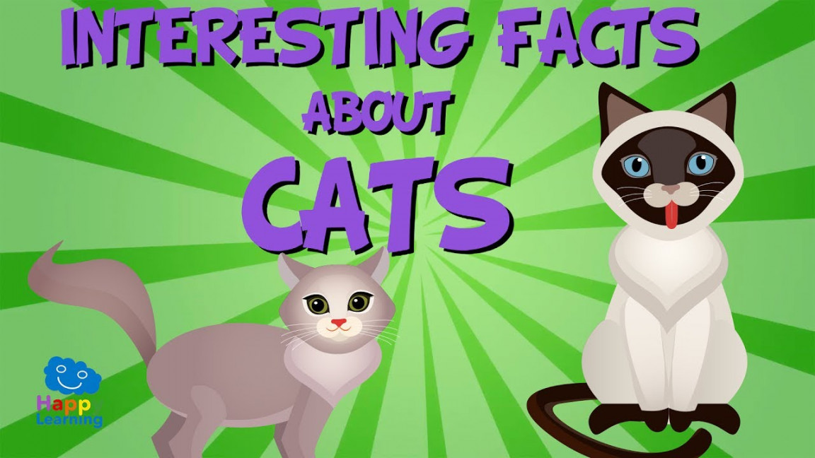 Interesting facts about Cats  Educational Video for Kids.