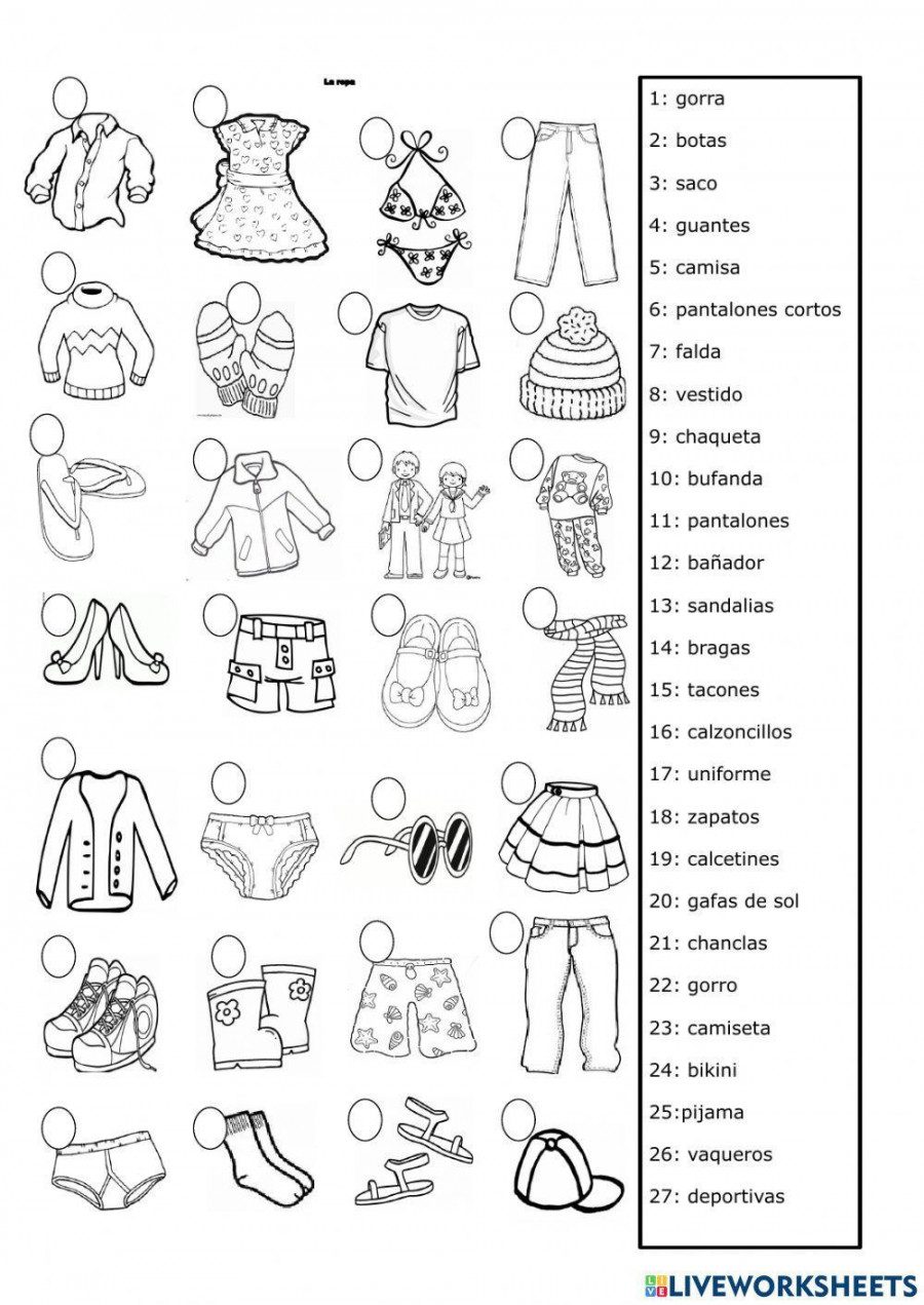 La ropa interactive exercise for º  Live Worksheets