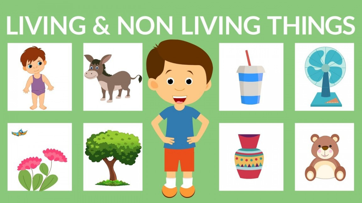 Living and Non-living Things for Kids  Living Things  Non-living Things