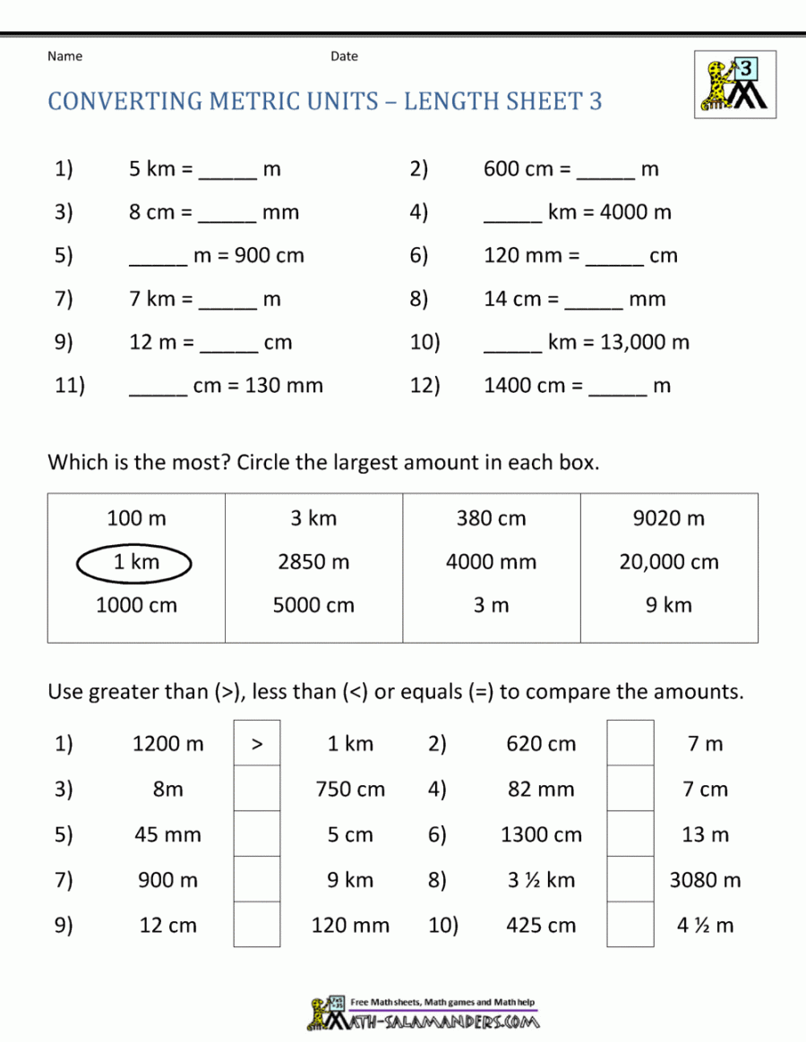 Metric Conversion Worksheet