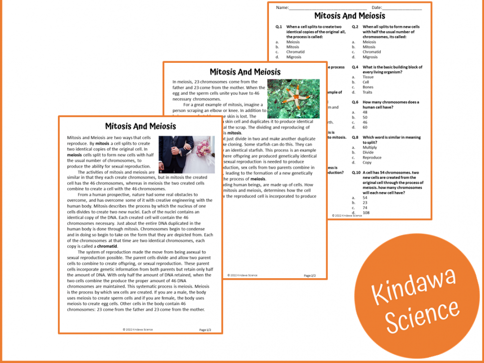 Mitosis And Meiosis Reading Comprehension Passage and Questions