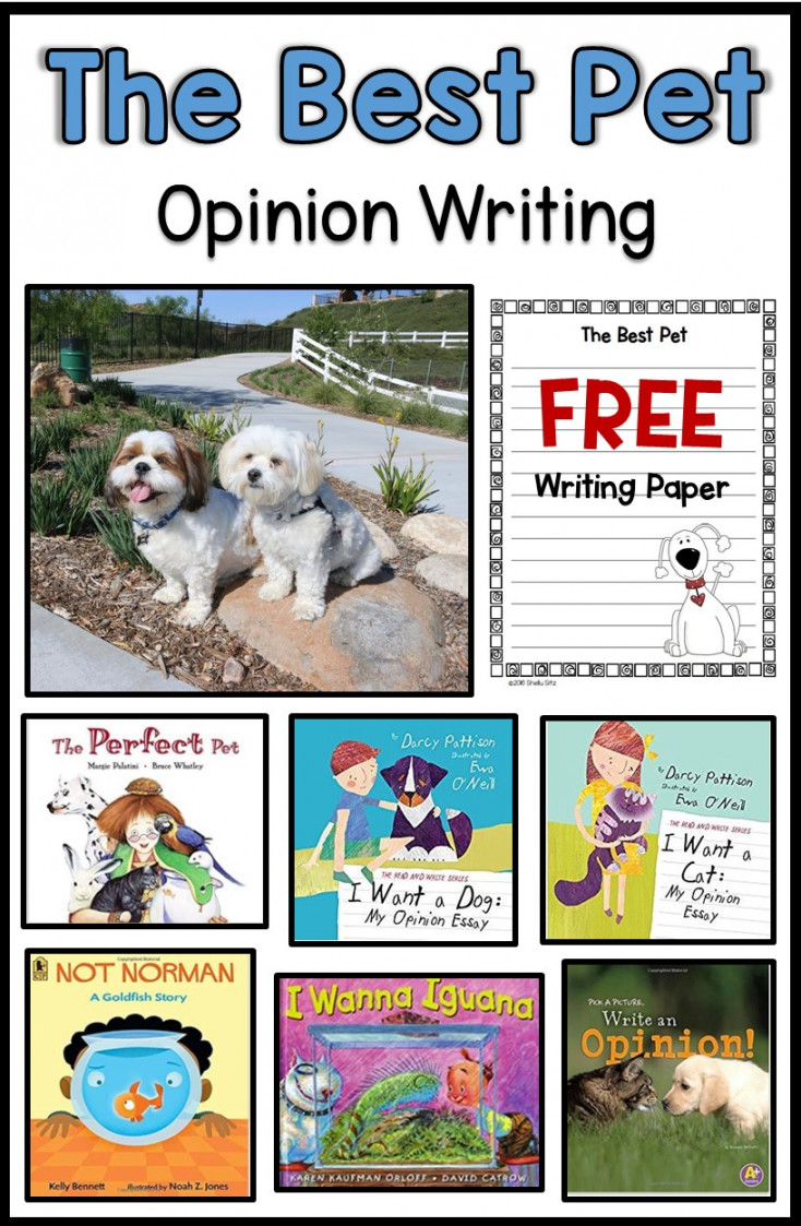 Opinion Writing: The Best Pet - Smiling and Shining in Second Grade