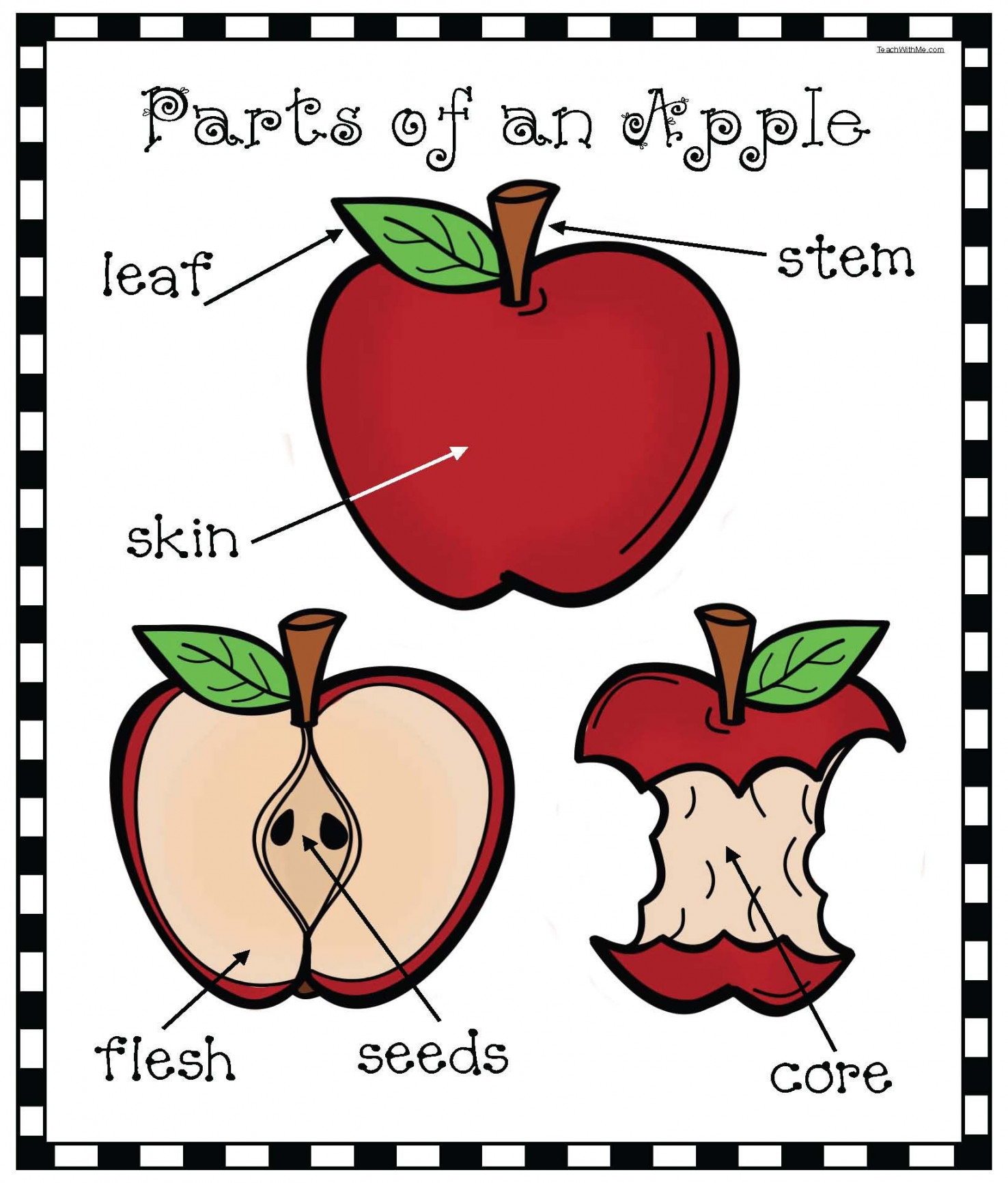 Parts of an Apple Emergent Reader Packet  Apple activities, Apple