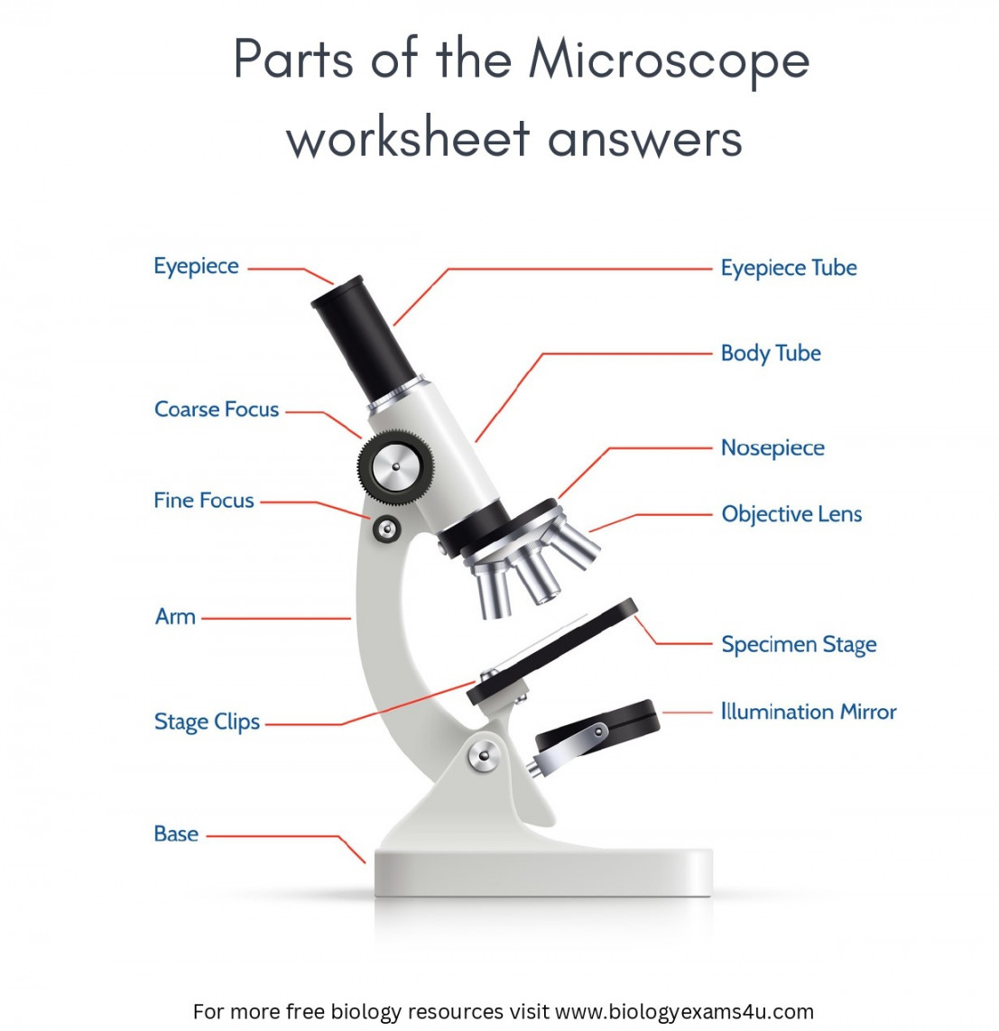 Parts of the Microscope Worksheet with Answers  Biology Worksheet