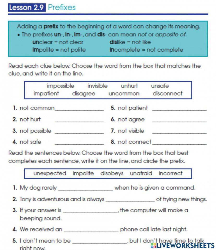 Prefix worksheet for   Live Worksheets