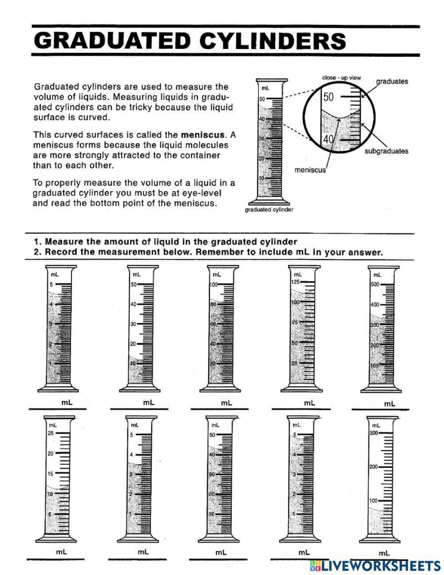 Measuring Graduated Cylinder Worksheet Printable PDF Template