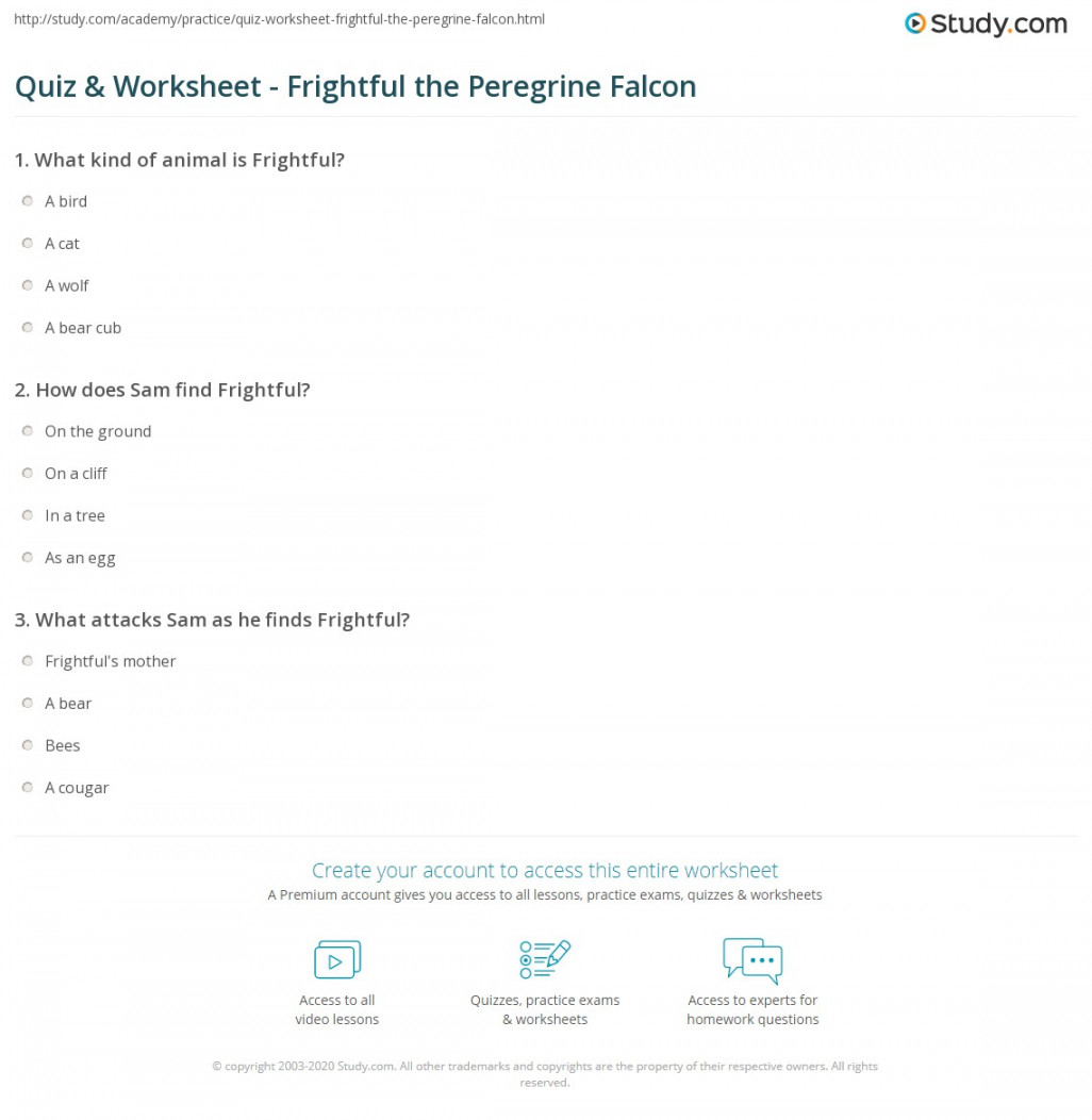 Quiz & Worksheet - Frightful the Peregrine Falcon  Study