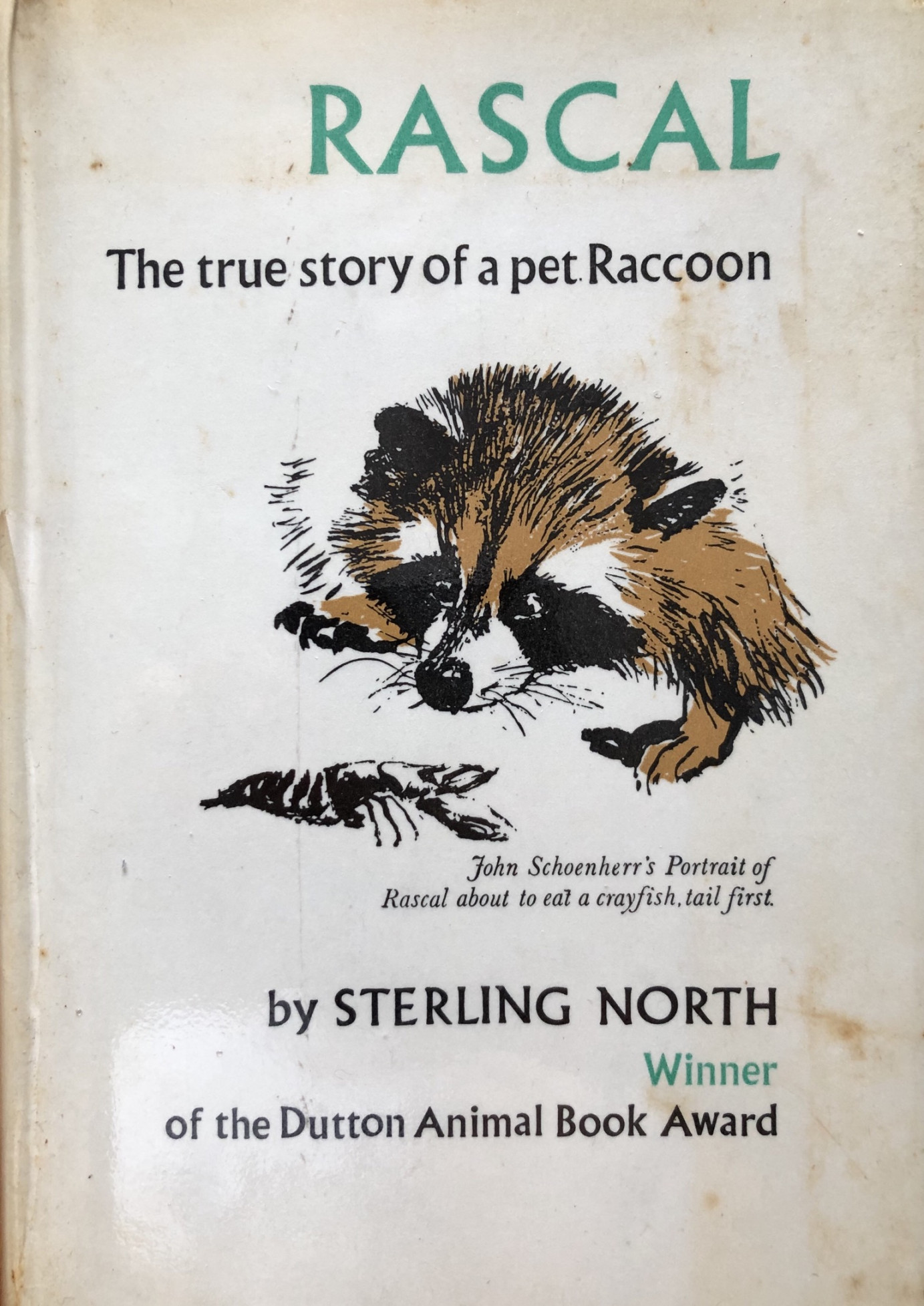 Rascal: The true story of a pet Raccoon by Sterling North  Goodreads