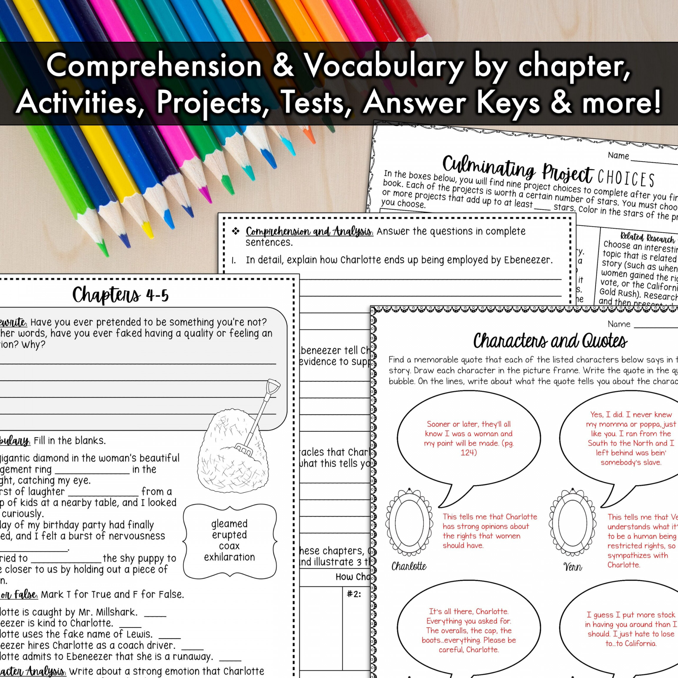 Riding Freedom Novel Study Unit  Comprehension and Vocabulary with  Activities and Tests