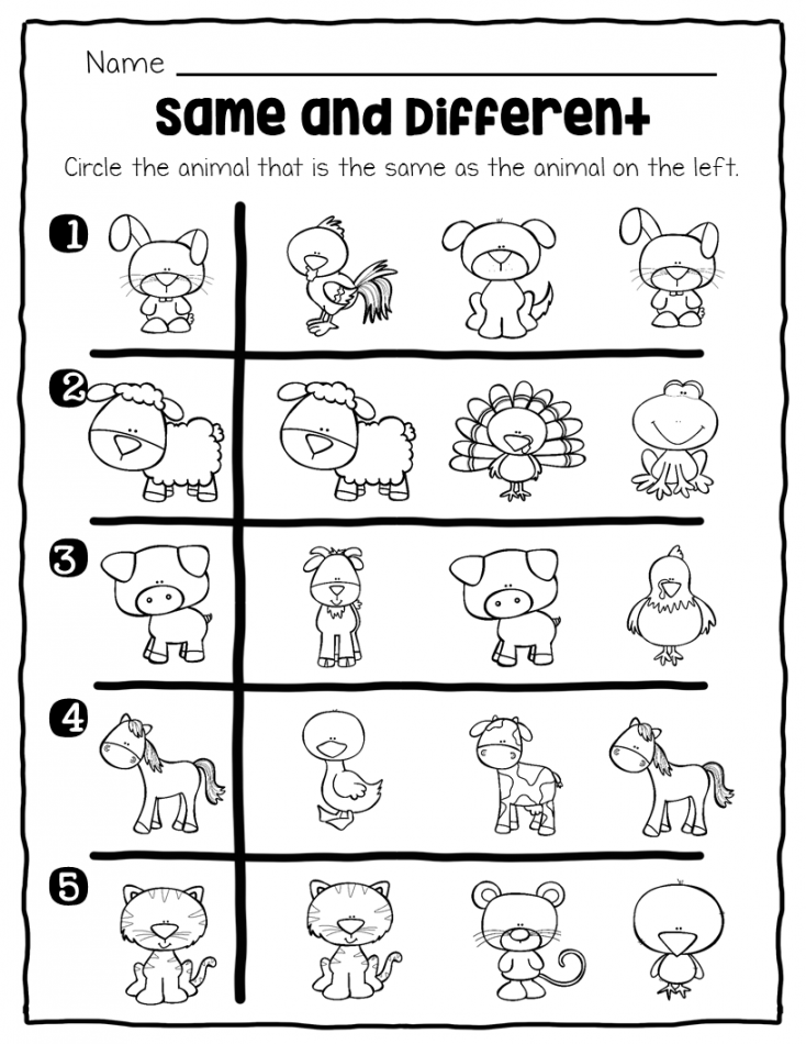 Same and Different Printables and Activities [Animal Theme]