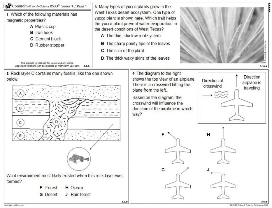 Science STAAR Prep  Texas Science STAAR Test Review  MathWarm-Ups