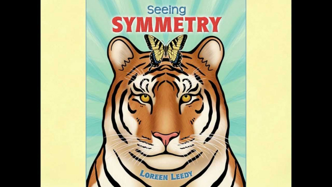 Seeing Symmetry booktalk