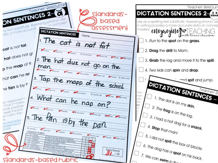 Sentence Writing in Primary Grades FREEBIE • Traci Clausen