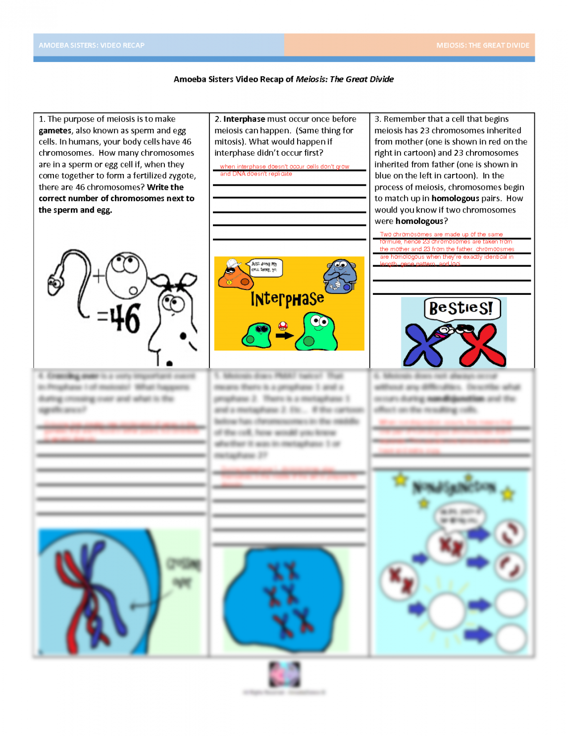 SOLUTION: Amoeba Sisters Video Recap of Meiosis Answers Worksheet