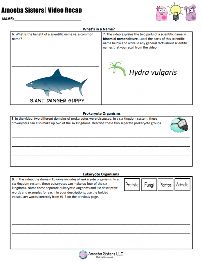 Studying classification? This handout can make a great exit ticket