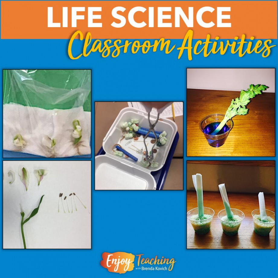 Teaching Life Science - Hands-on Activities & Projects