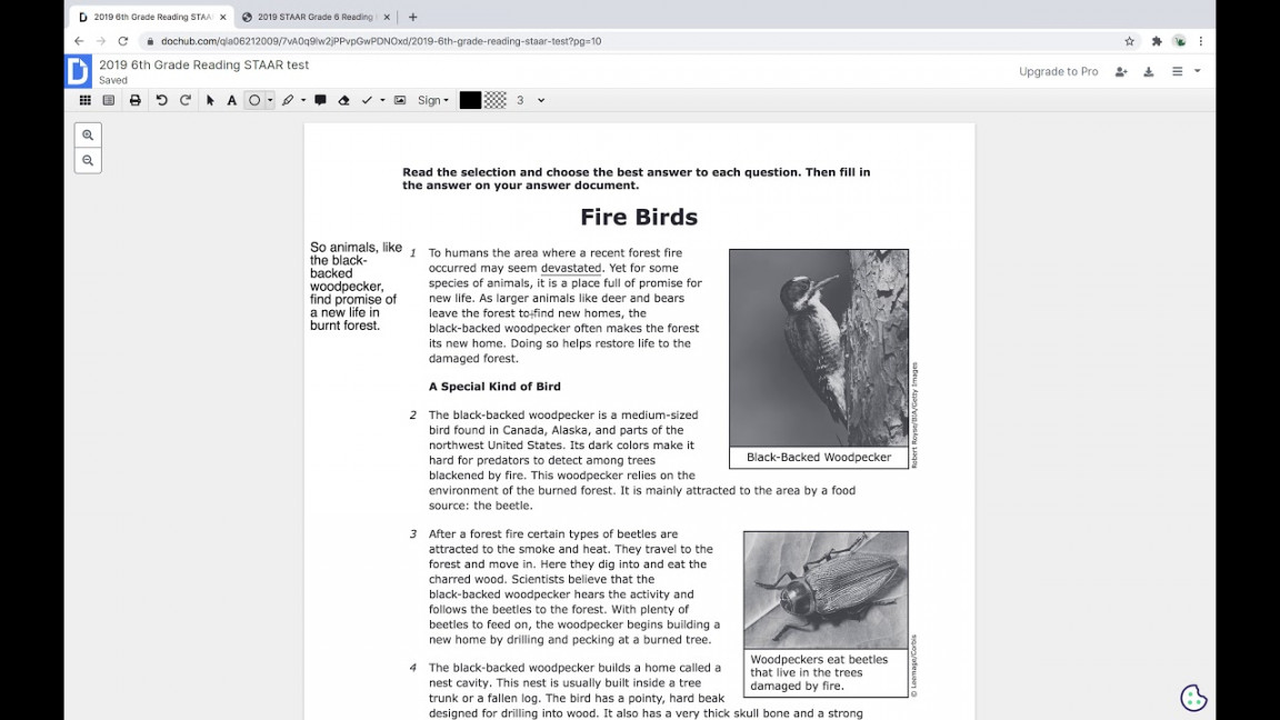 th Grade Reading STAAR Test Part : Fire Birds