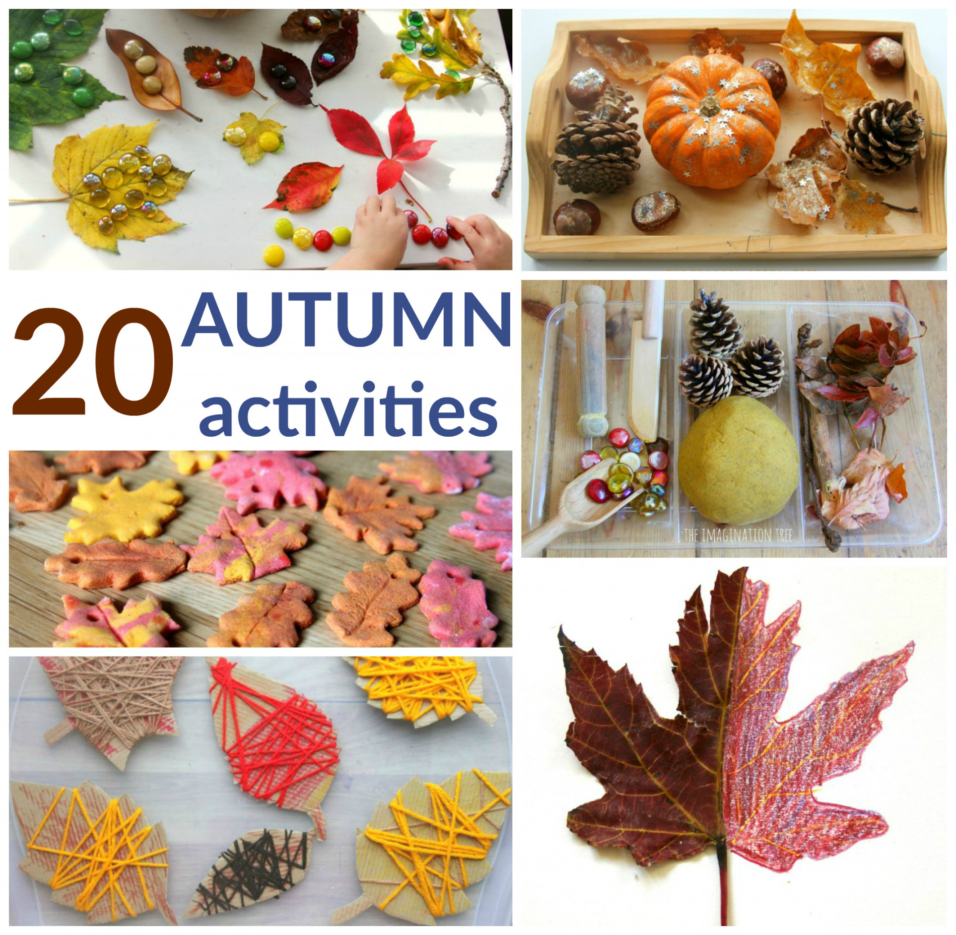 The Best Autumn Activities for Kids! - The Imagination Tree